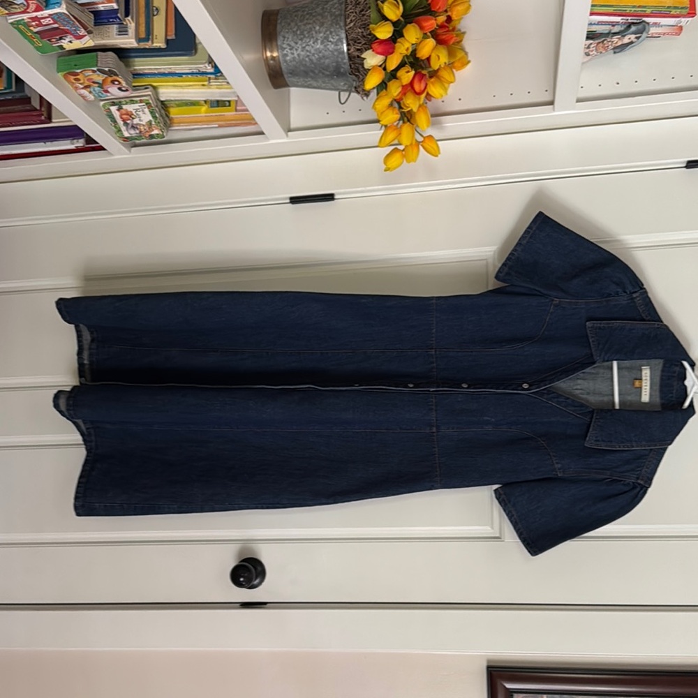 DownEast Indigo Denim dress